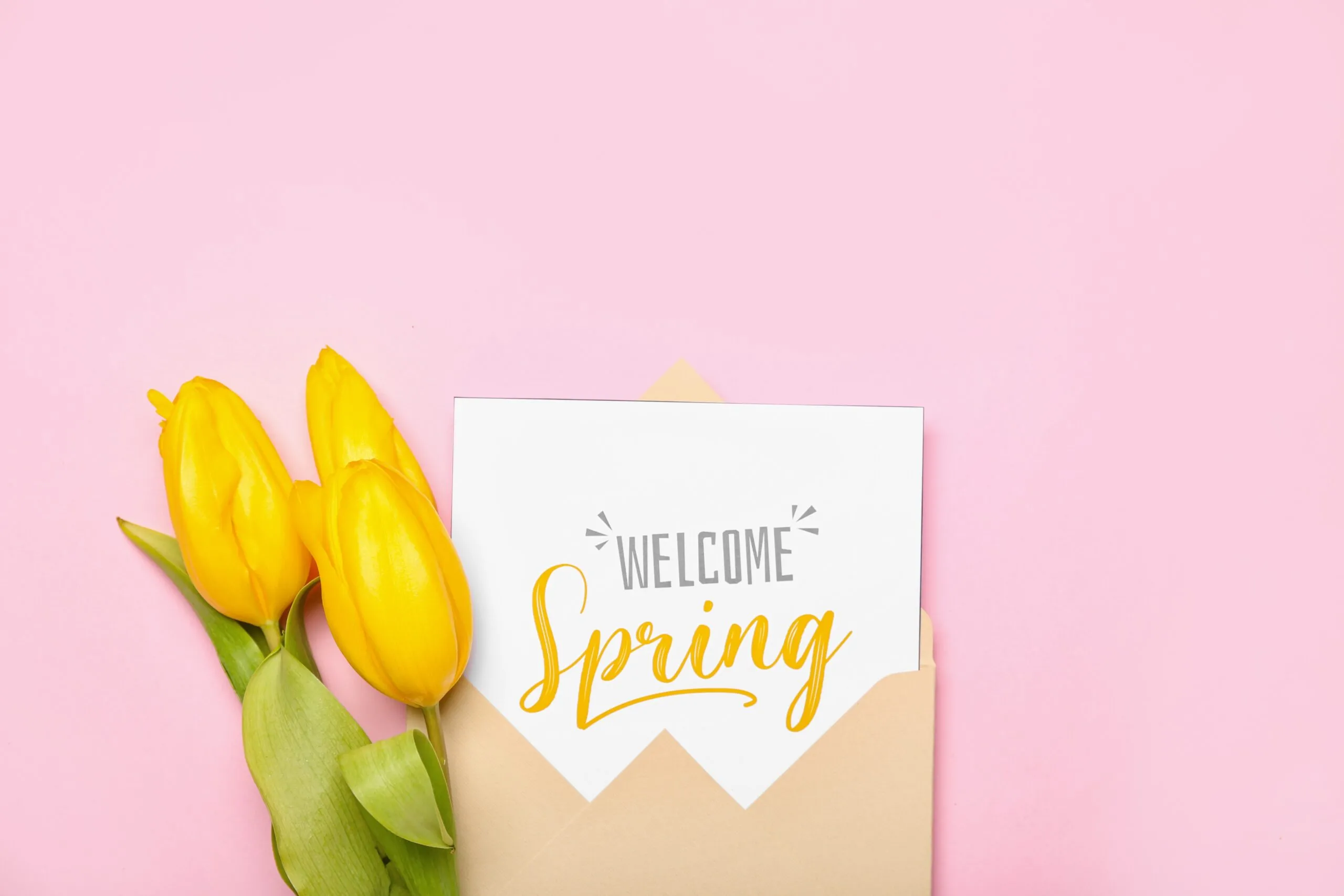 Hello Spring!